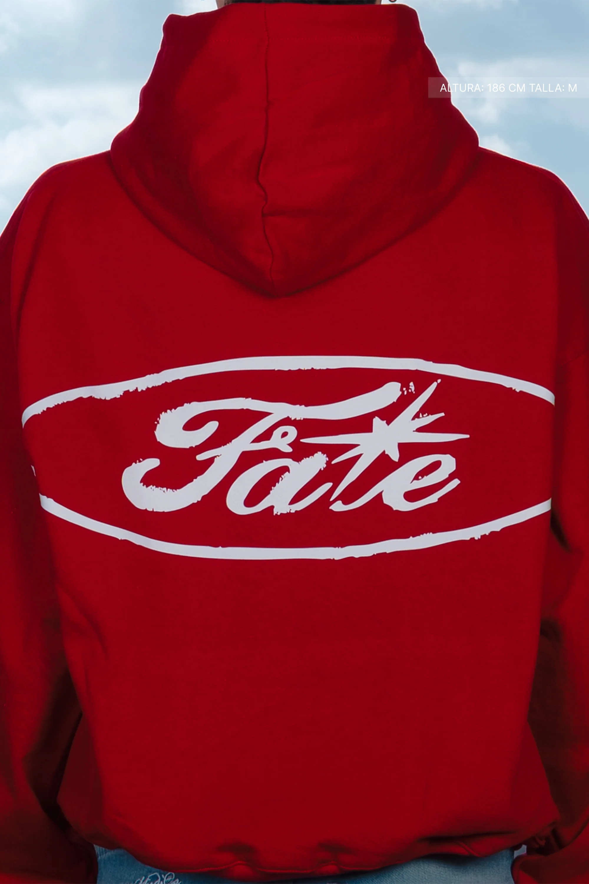 Fate Oval Hoodie Cherry Red - Image 10