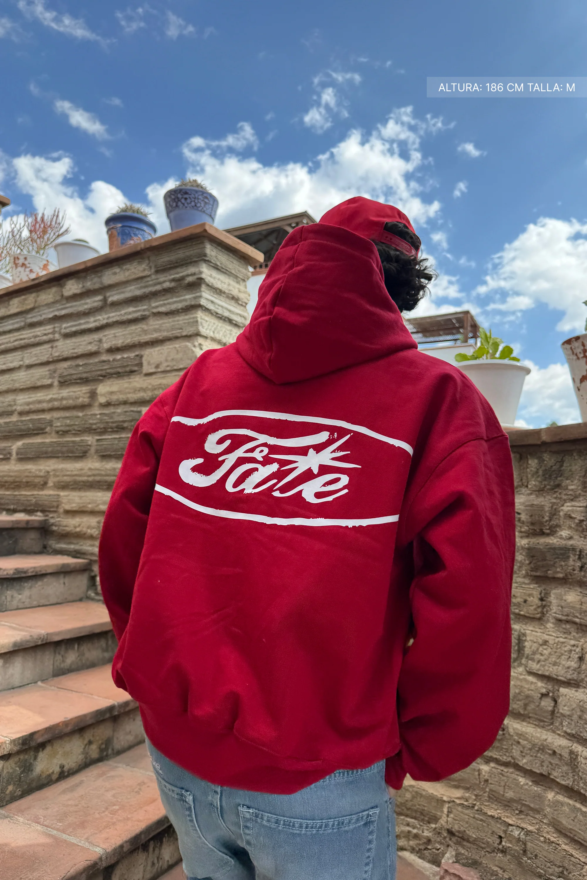 Fate Oval Hoodie Cherry Red - Image 2
