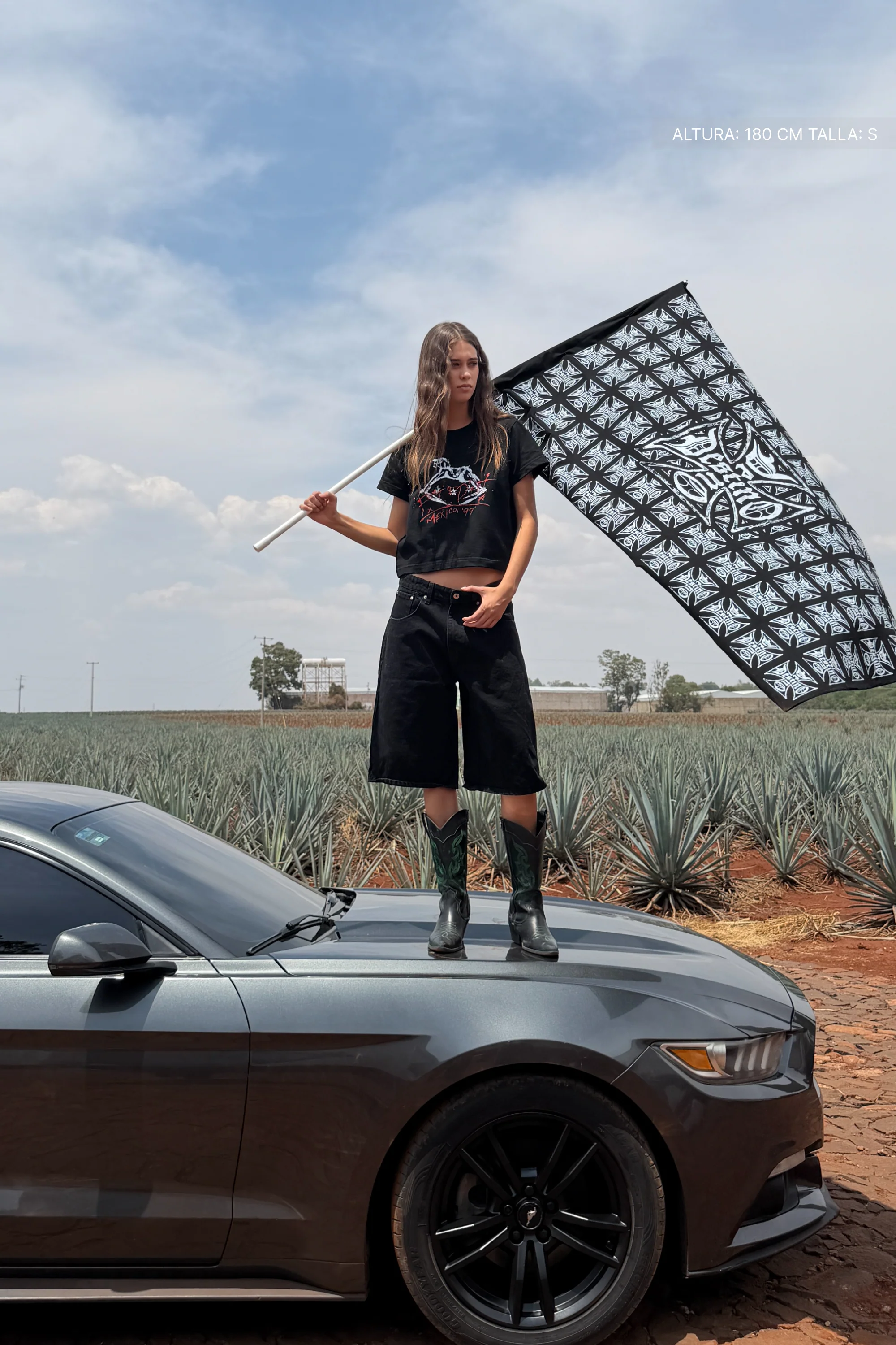 Fate Rodeo Noir Crop Tee Black - Image 6