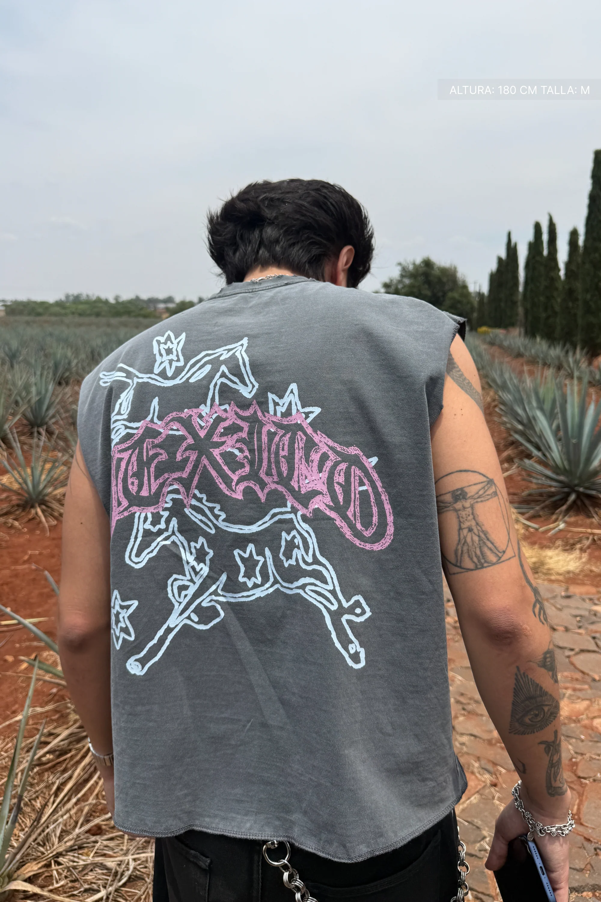Fate Two Horse Sparks Tank Top Washed Grey - Image 2